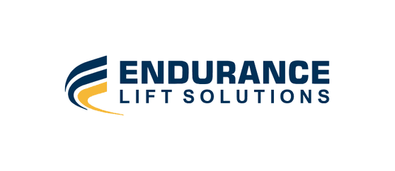endurance logo